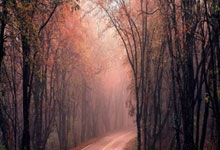 关于曼城重伤倒地，海港全队围拢祈祷，场面感人的信息