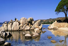 关于曼城重伤倒地，海港全队围拢祈祷，场面感人的信息